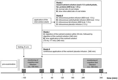 The Effects of a Normal Rate versus a Slow Intervalled Rate of Oral Nutrient Intake and Intravenous Low Rate Macronutrient Application on Psychophysical Function – Two Pilot Studies